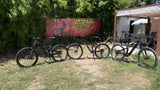 CRUSSIS e-Full 12.11(AVINOX)