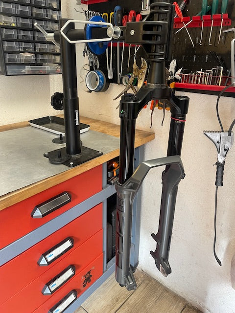 REVISION ROCKSHOX ZEB LYRIK PIKE 35 DOMAIN YARI SUPERDELUXE MONARCH VIVID